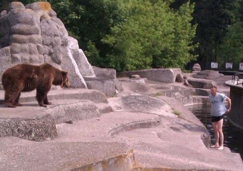 Медведь и идиот. Фото Ucrazy.ru